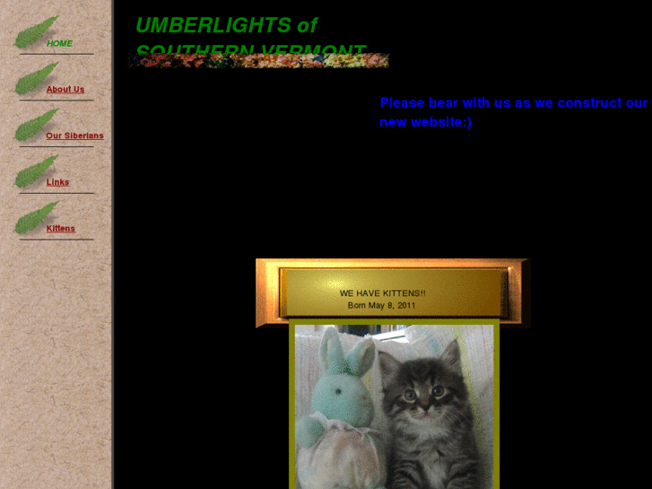 www.umberlights.com