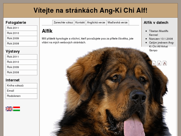 www.angkichialf.cz