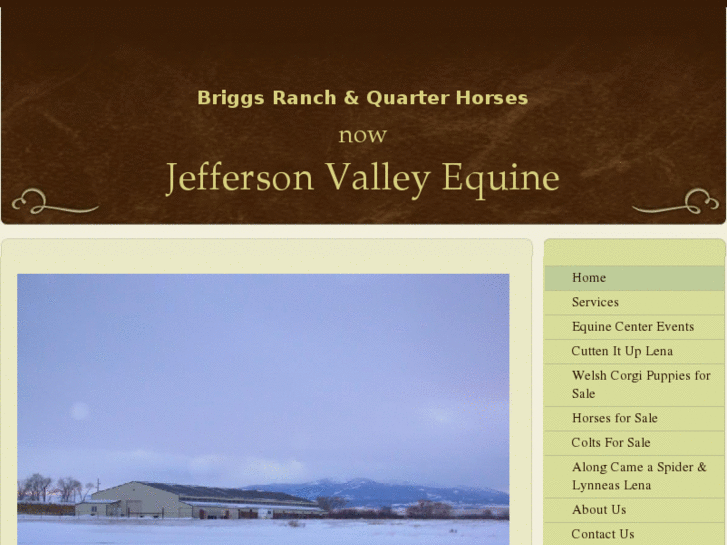 www.briggsquarterhorses.com