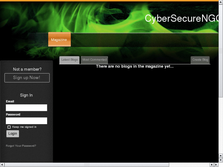 www.ngocybersecure.info