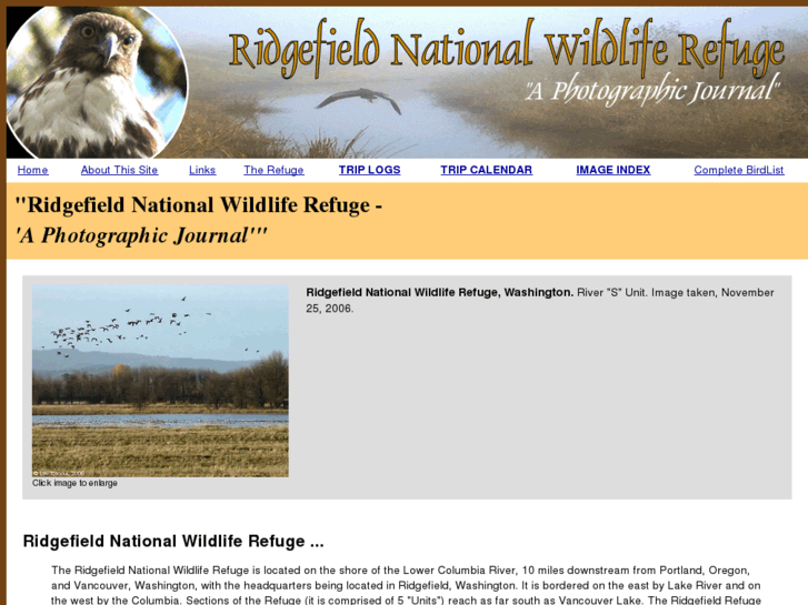 www.ridgefieldbirds.com