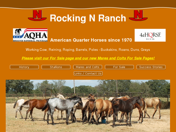 www.rockingnranch.com