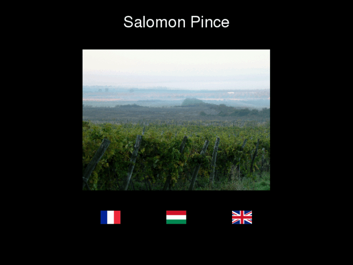 www.salomonpince.com