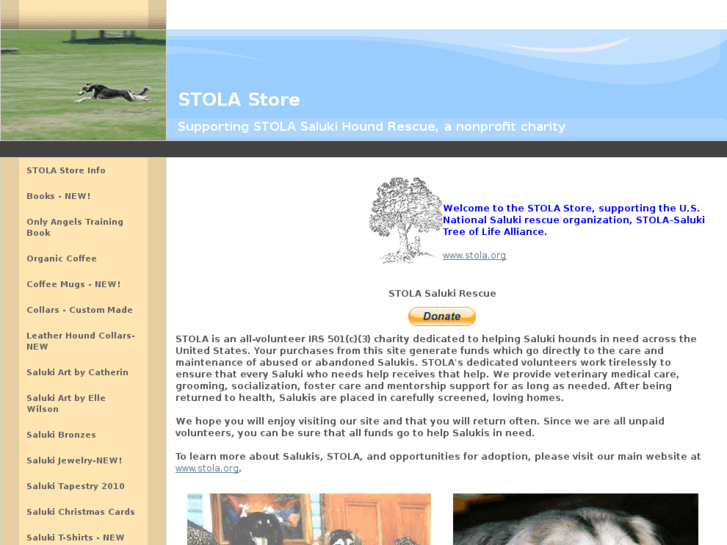 www.stolastore.com