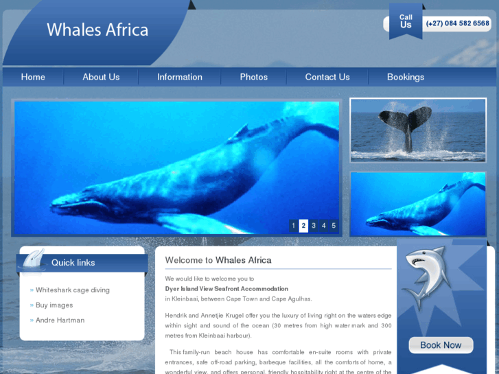 www.whalesafrica.com