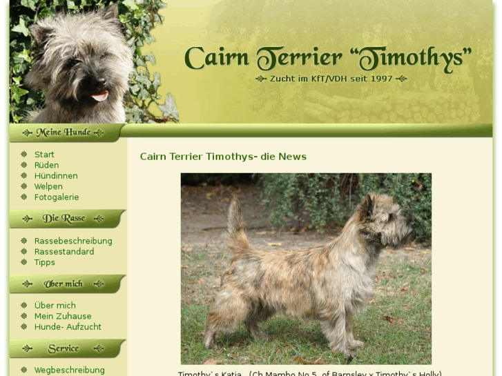 www.cairn-terrier-zucht.com