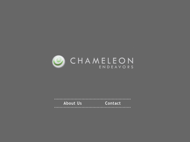 www.chameleonendeavors.com