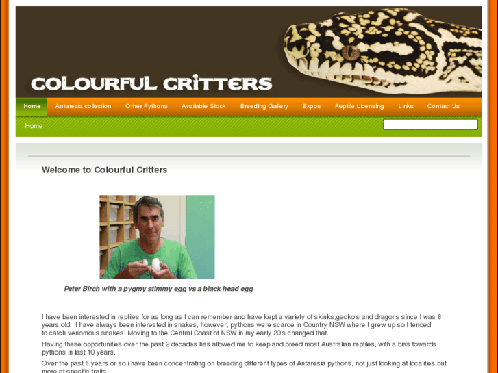 www.colourfulcritters.com.au