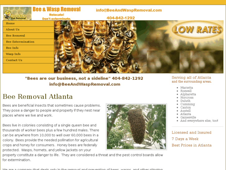 www.beeandwaspremoval.com