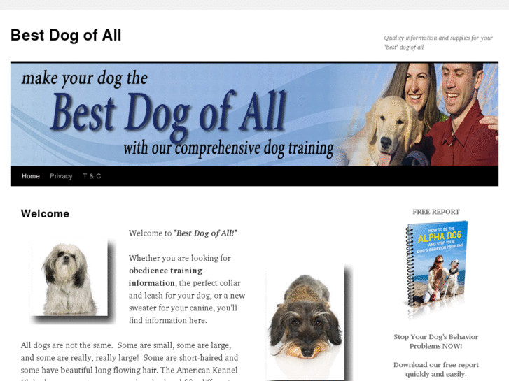 www.bestdogofall.com