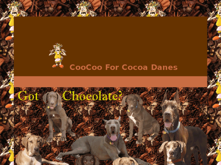 www.coocooforcocoadanes.com