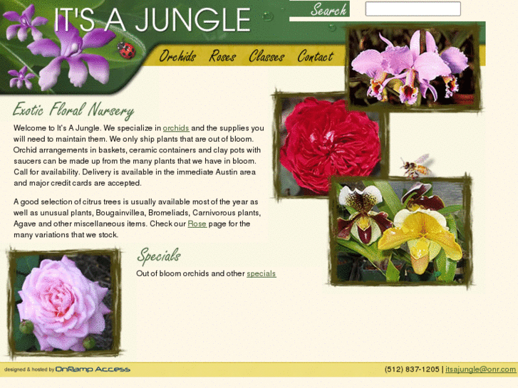 www.itsajungleaustin.com