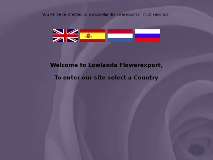 www.lowlandsflowerexport.com