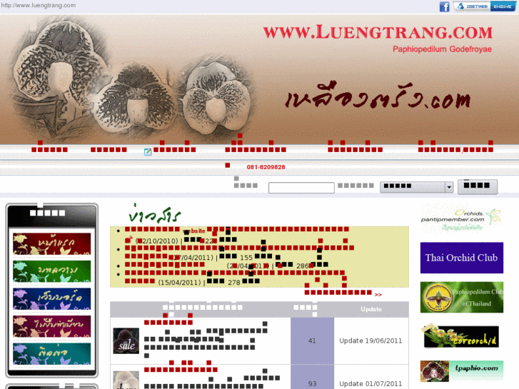 www.luengtrang.com