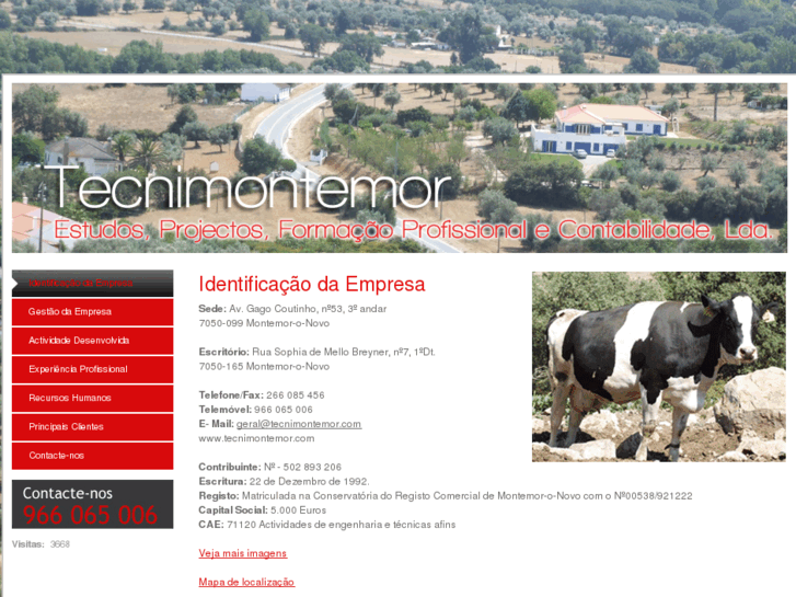 www.tecnimontemor.com