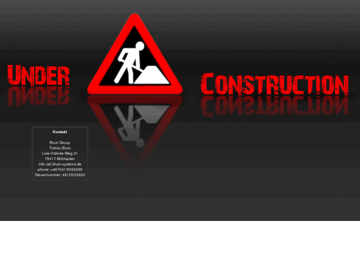 www.blum-systems.de