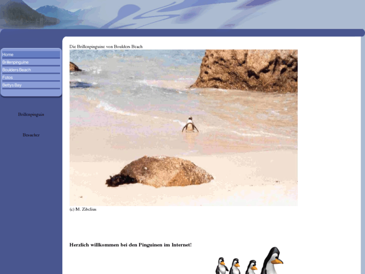 www.brillenpinguin.de