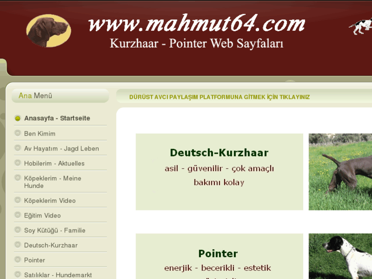 www.kurzhaarmahmut64.com