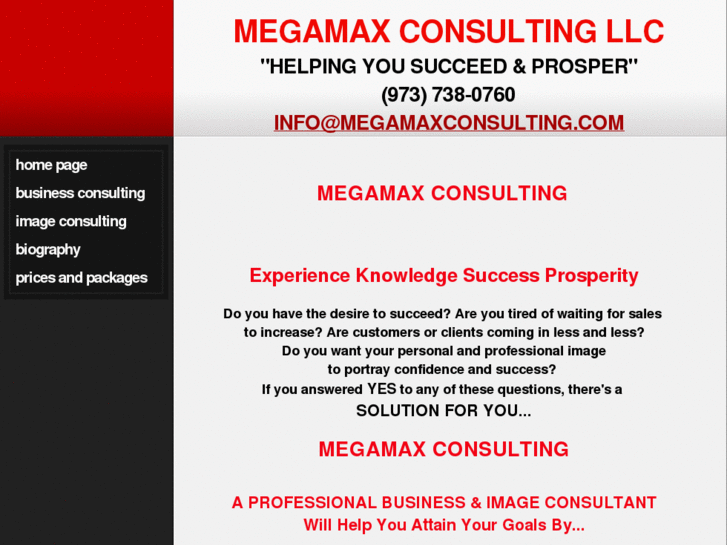 www.megamaxconsulting.com