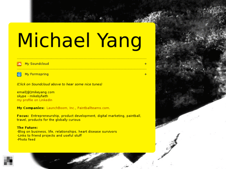 www.mikeyang.com