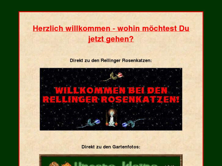 www.rellinger-rosenkatzen.eu