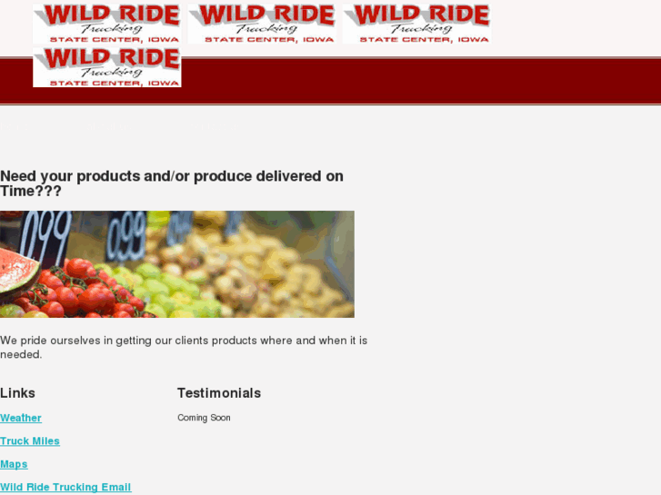 www.wild-ride-trucking.com