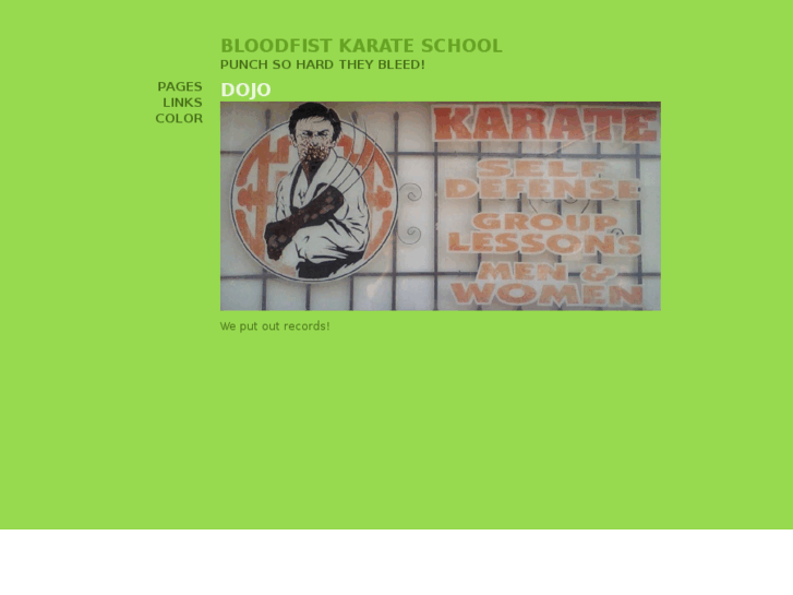 www.bloodfistkarateschool.com