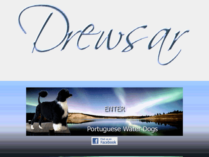 www.drewsar.com