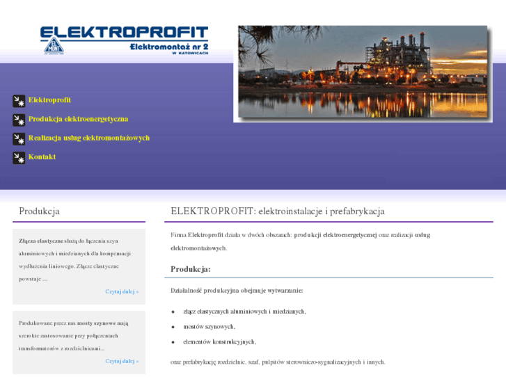 www.elektroprofit.pl