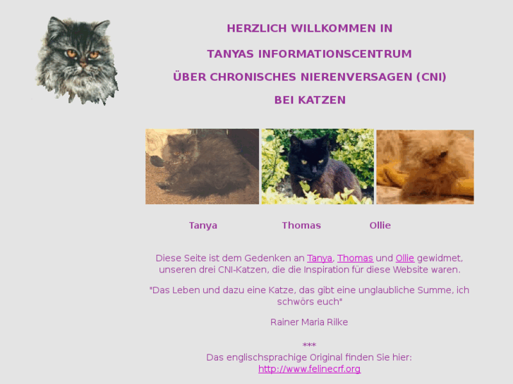 www.felinecrf.info