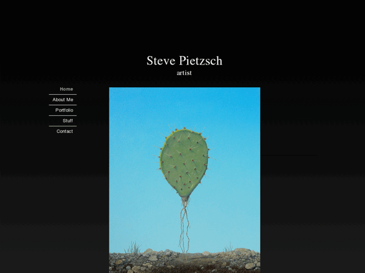 www.steve-pietzsch.com