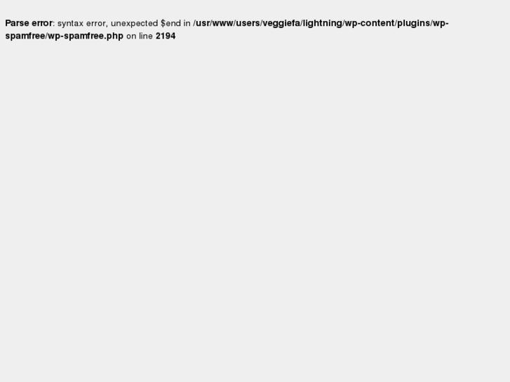 www.everythinglightning.com