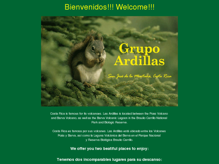 www.grupoardillas.com