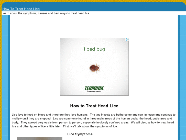 www.howtotreatheadlice.com