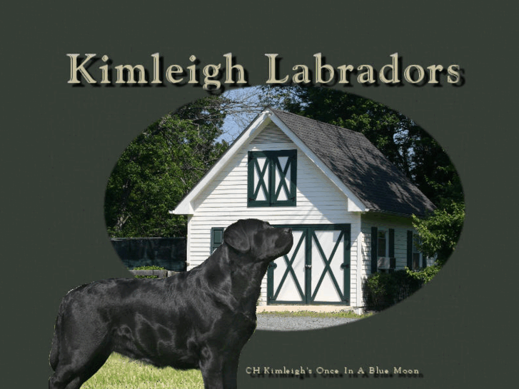 www.kimleighlabs.com