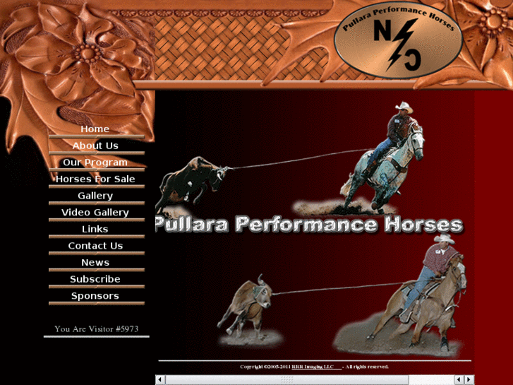 www.pullaraperformancehorses.com