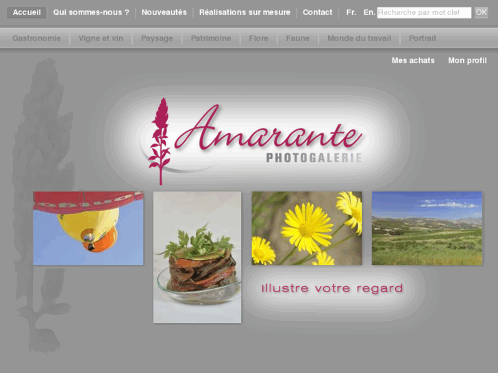 www.amarante-photogalerie.com