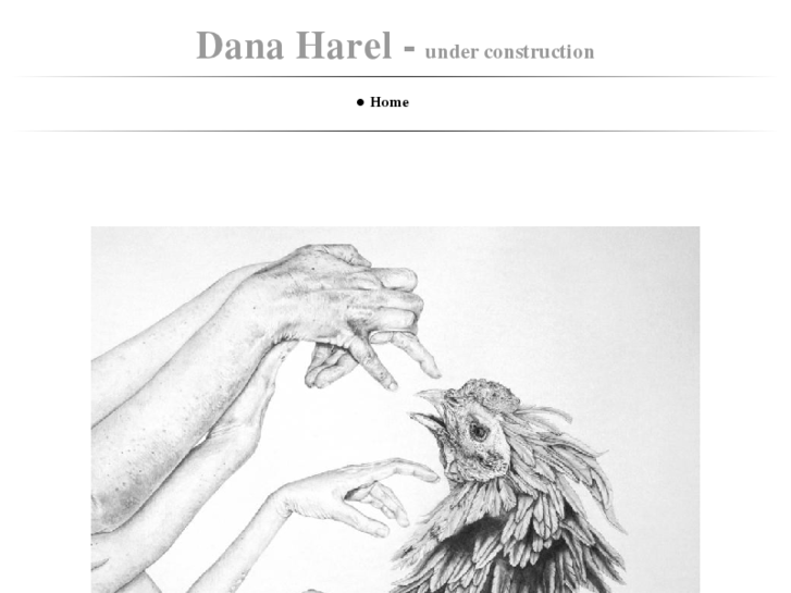 www.danaharel.net