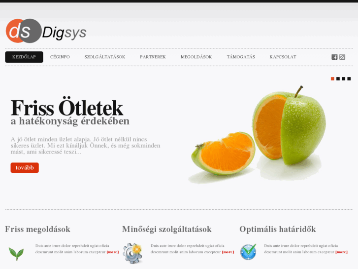 www.digsys.hu