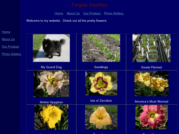 www.fergiesdaylilies.com