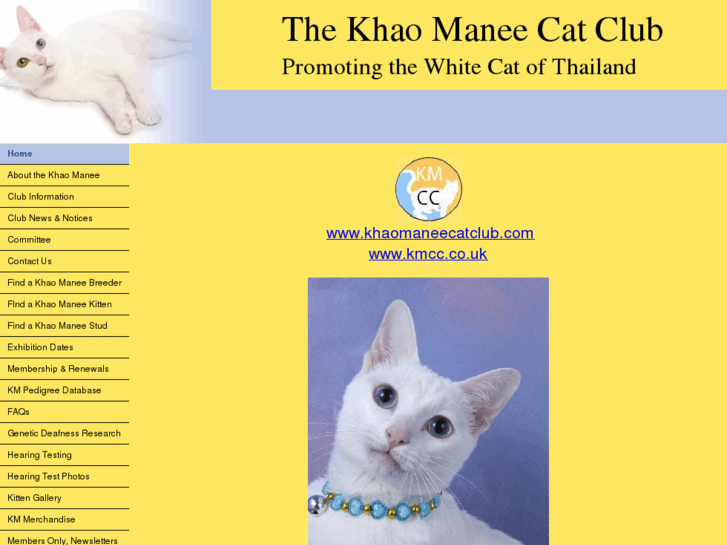 www.khaomaneecatclub.com