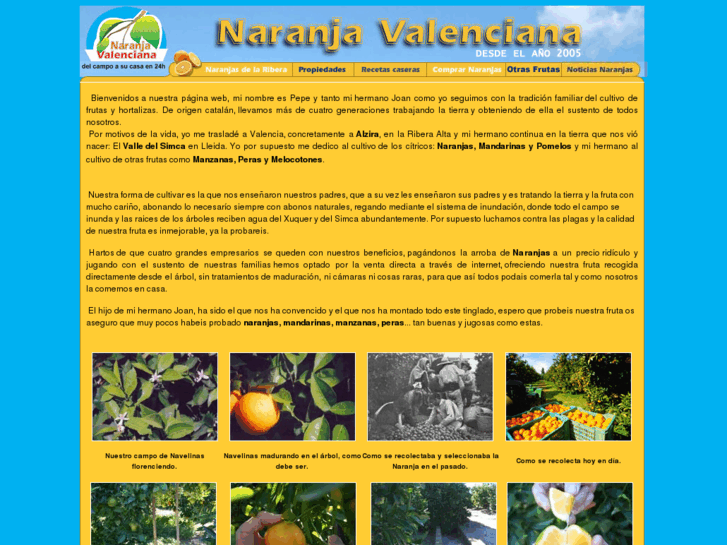 www.naranjavalenciana.com