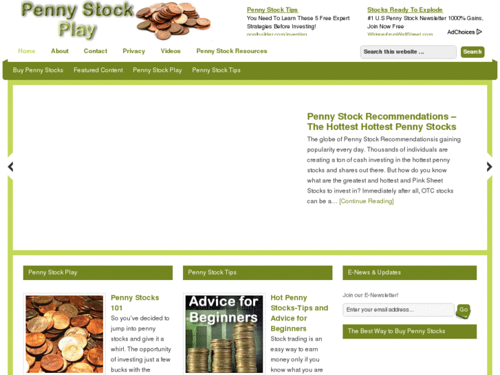 www.pennystockplay.com