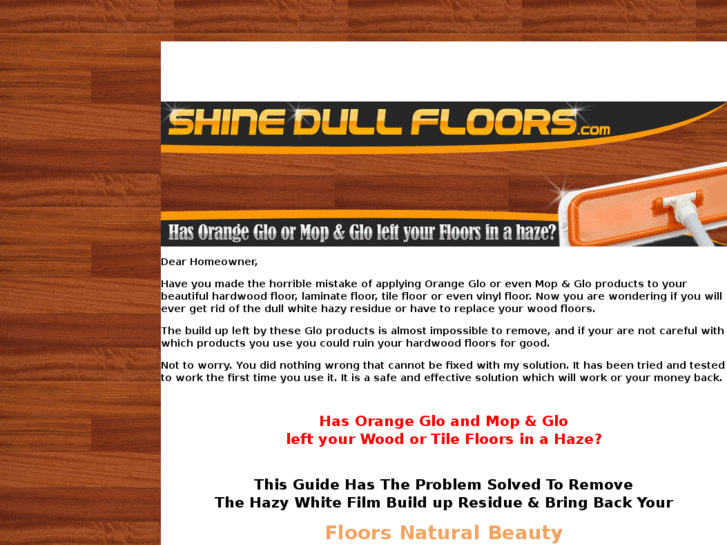 www.shinedullfloors.com