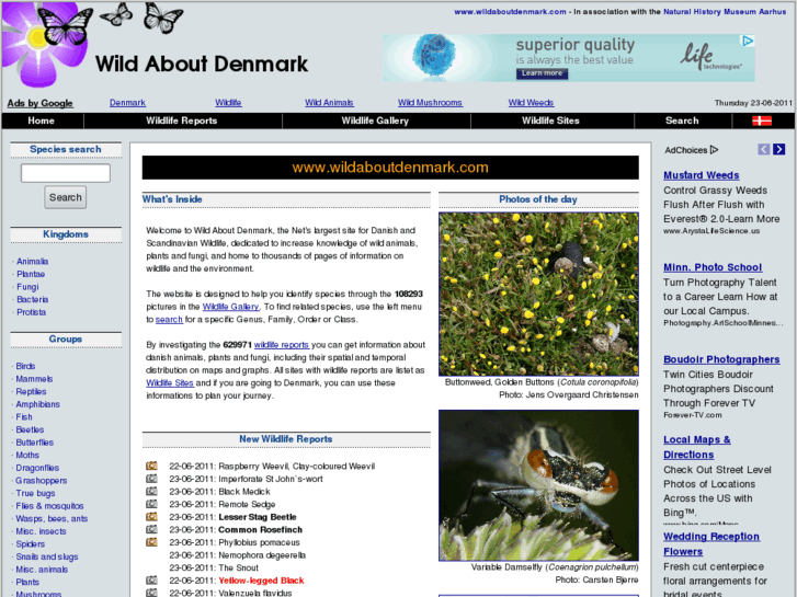 www.wildaboutdenmark.com