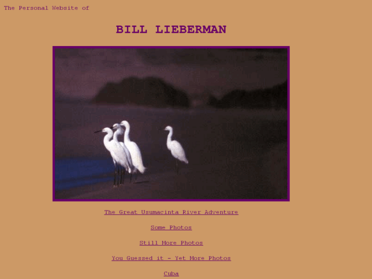 www.billlieberman.com