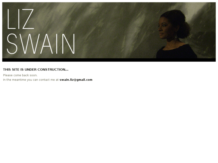 www.lizswain.com