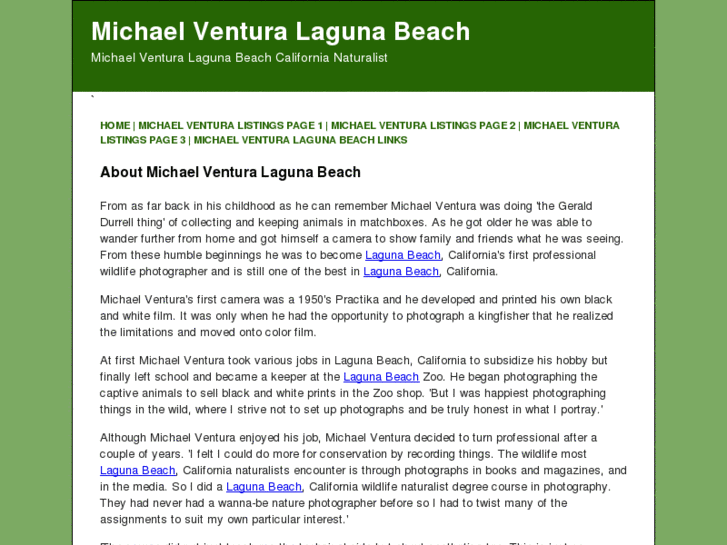 www.michaelventura-lagunabeach.com