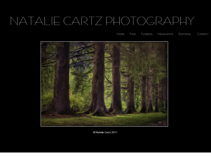 www.nataliecartzphotography.com