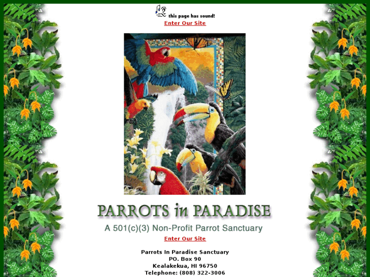 www.parrotsinparadise.com